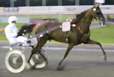 Trotting