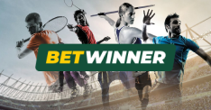 Online sports betting