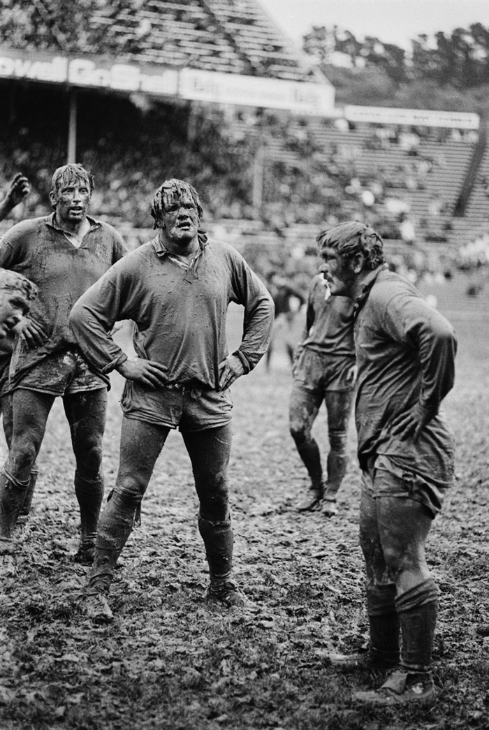 rugby